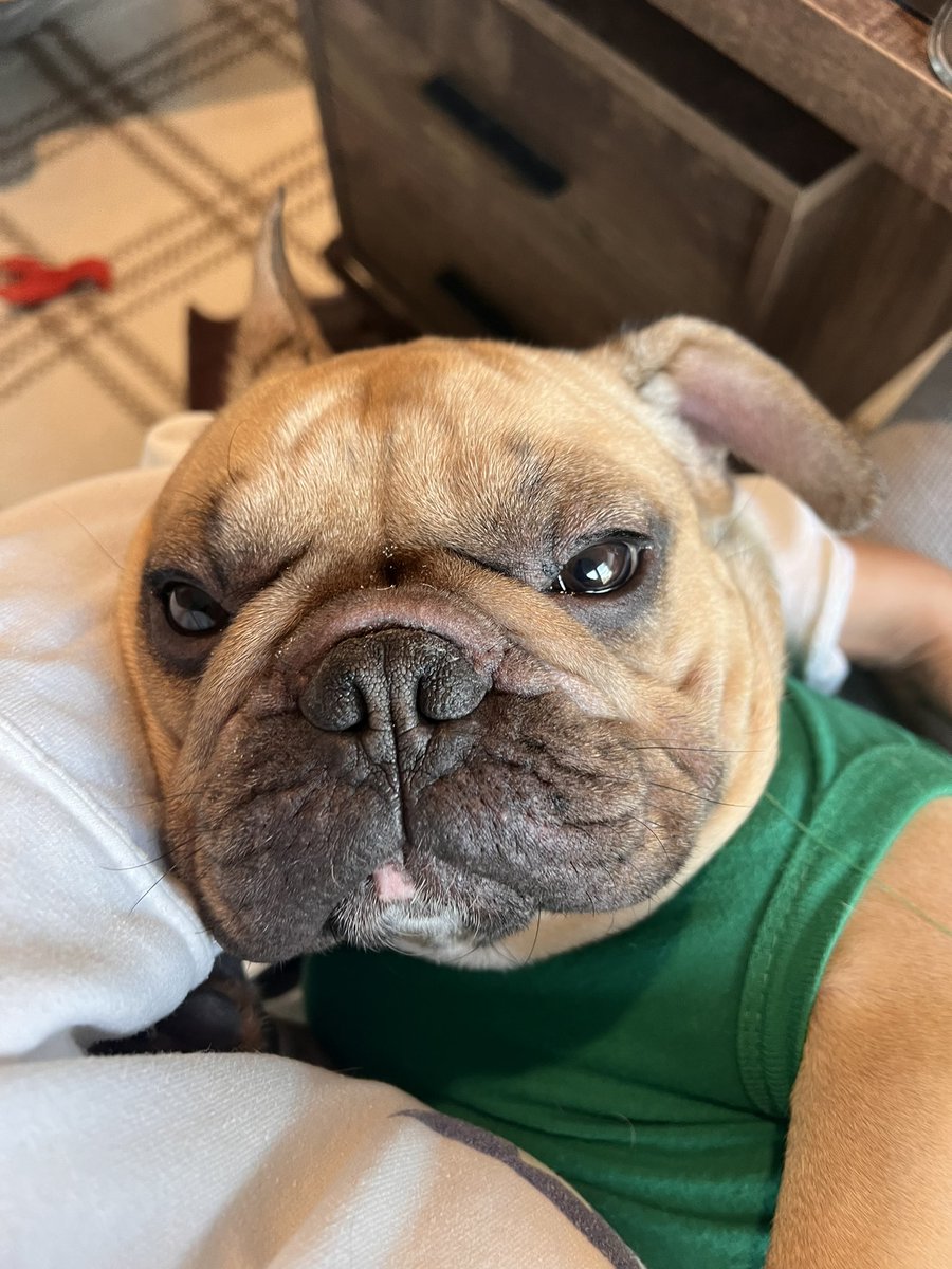 blowsbybitch's tweet photo. name a bigger angel baby boi you literally can’t https://t.co/mGxwyaaI6k
