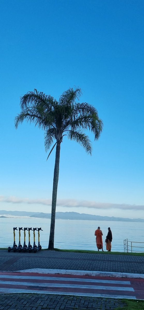 nathanlimal's tweet photo. Floripa e seus encantos https://t.co/fROPgzys2G
