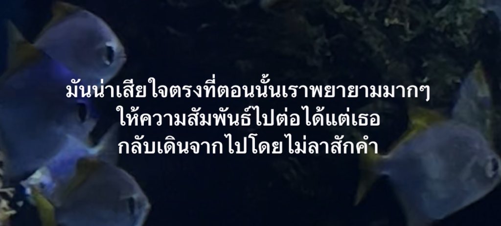 小 tweet media