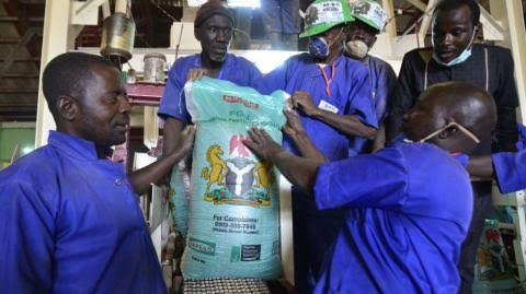 SaharaReporters's tweet photo. How Tinubu Government Almost Distributed ‘Fake’ Fertilisers To Farmers As Palliatives Under Fraudulent CBN Programme –Sources | Sahara Reporters https://t.co/PTcaSTmeEi https://t.co/Nj0vn2FQiB