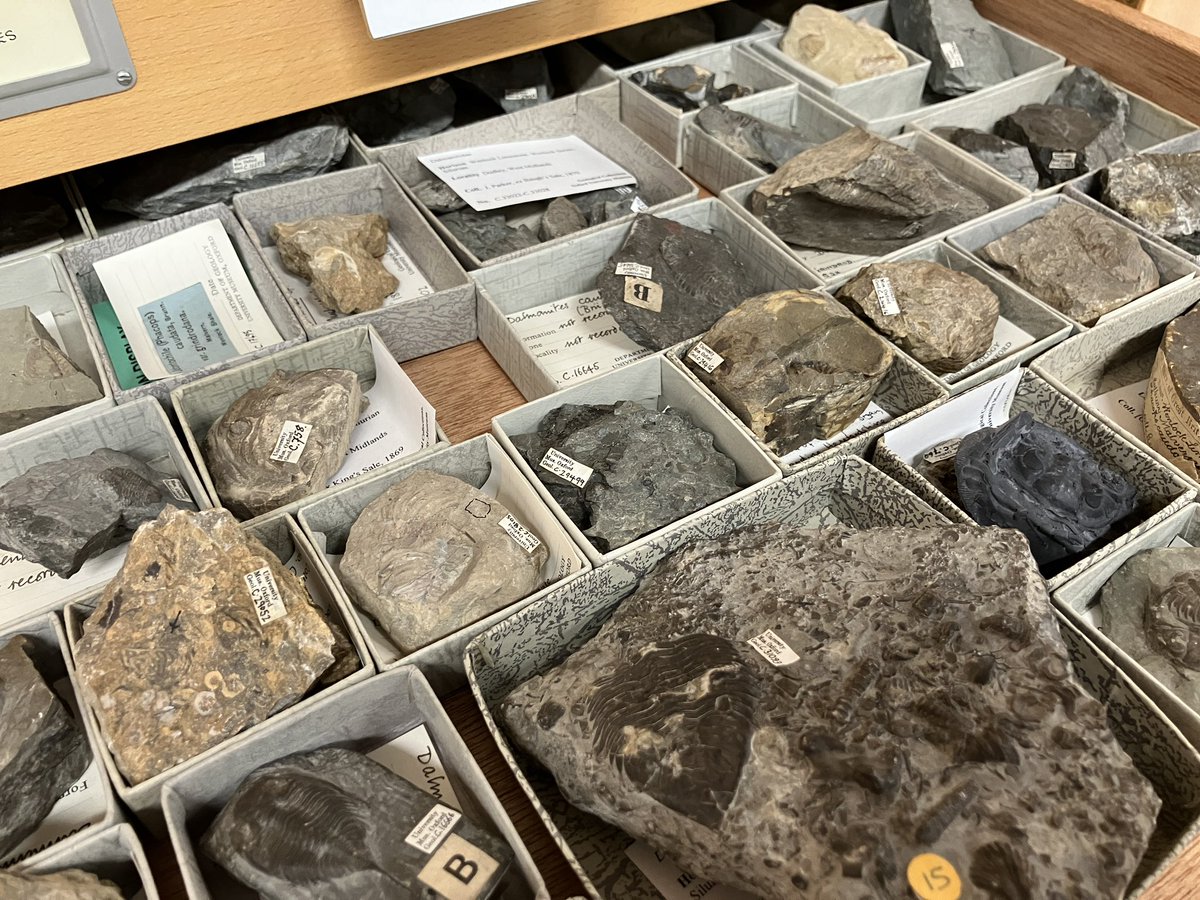 Duncan Murdock tweet media