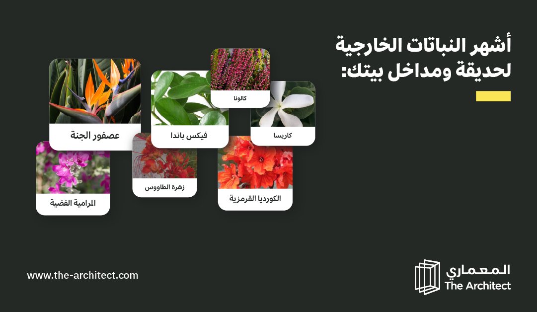 أكثر من 16 نوع لنباتات خارجية تعطي جمال لحديقة ومداخل بيتك 🌱
 جمعنا لك أشهرها

#المعماري #تصميم_داخلي