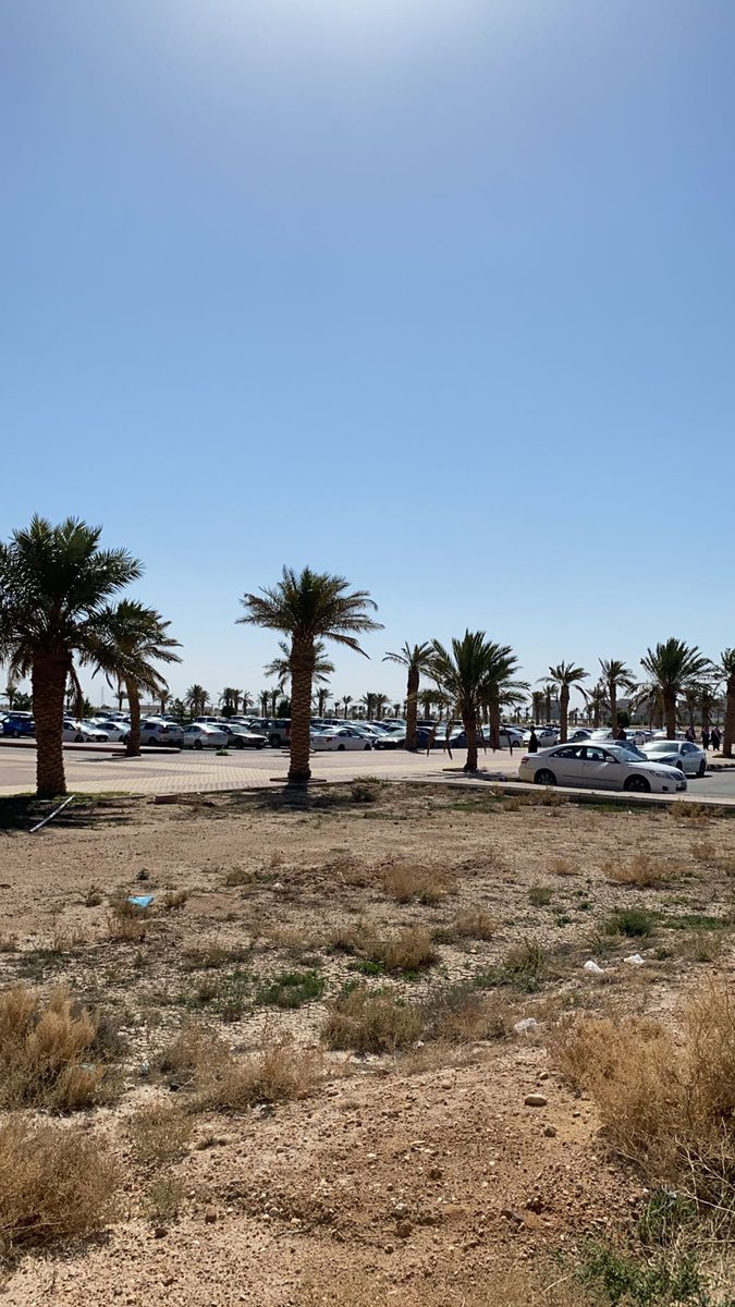 قضية اليوم🧬💓