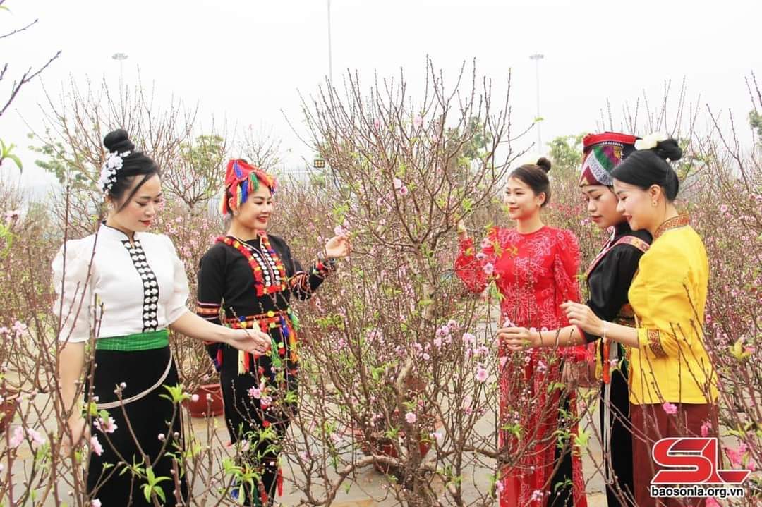 Tiểu Ngư tweet media