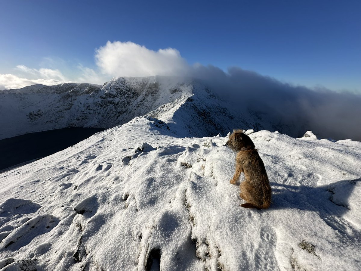 Been in the snow today pals #cumbria #lakedistrict #helvellyn #swirraledge