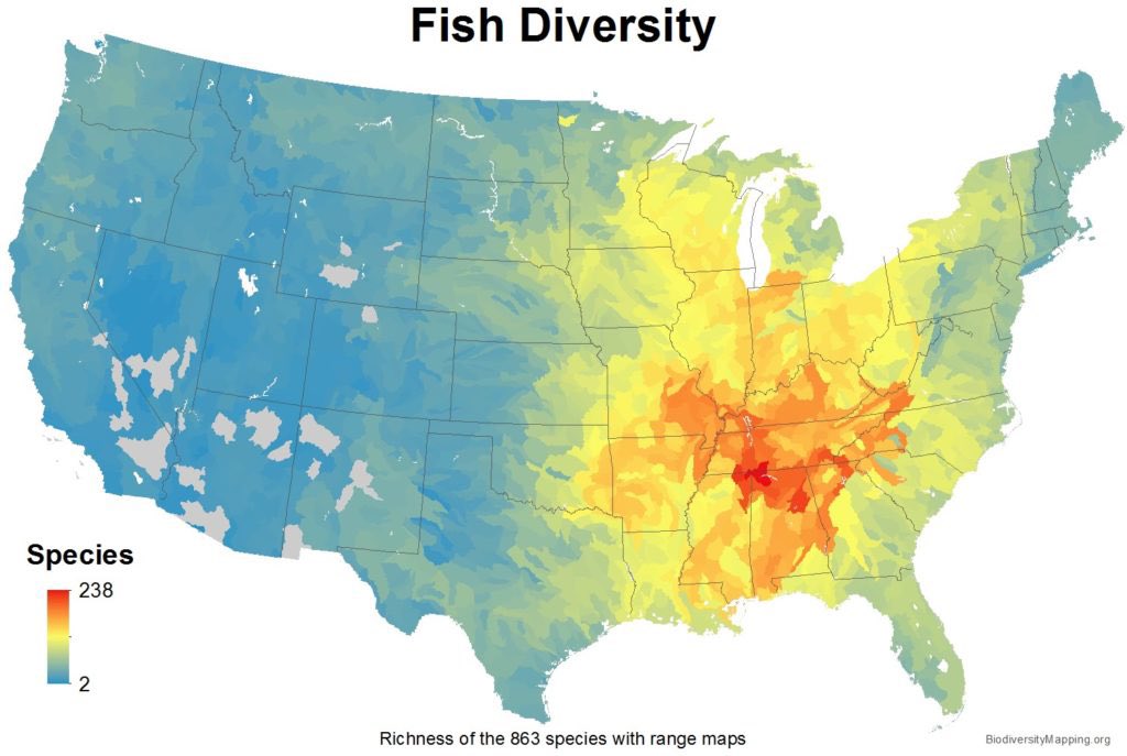We cannot stress enough how important it is to #DefendRivers in #Alabama, the nation's leading state for #freshwater #biodiversity! See more maps: biodiversitymapping.org