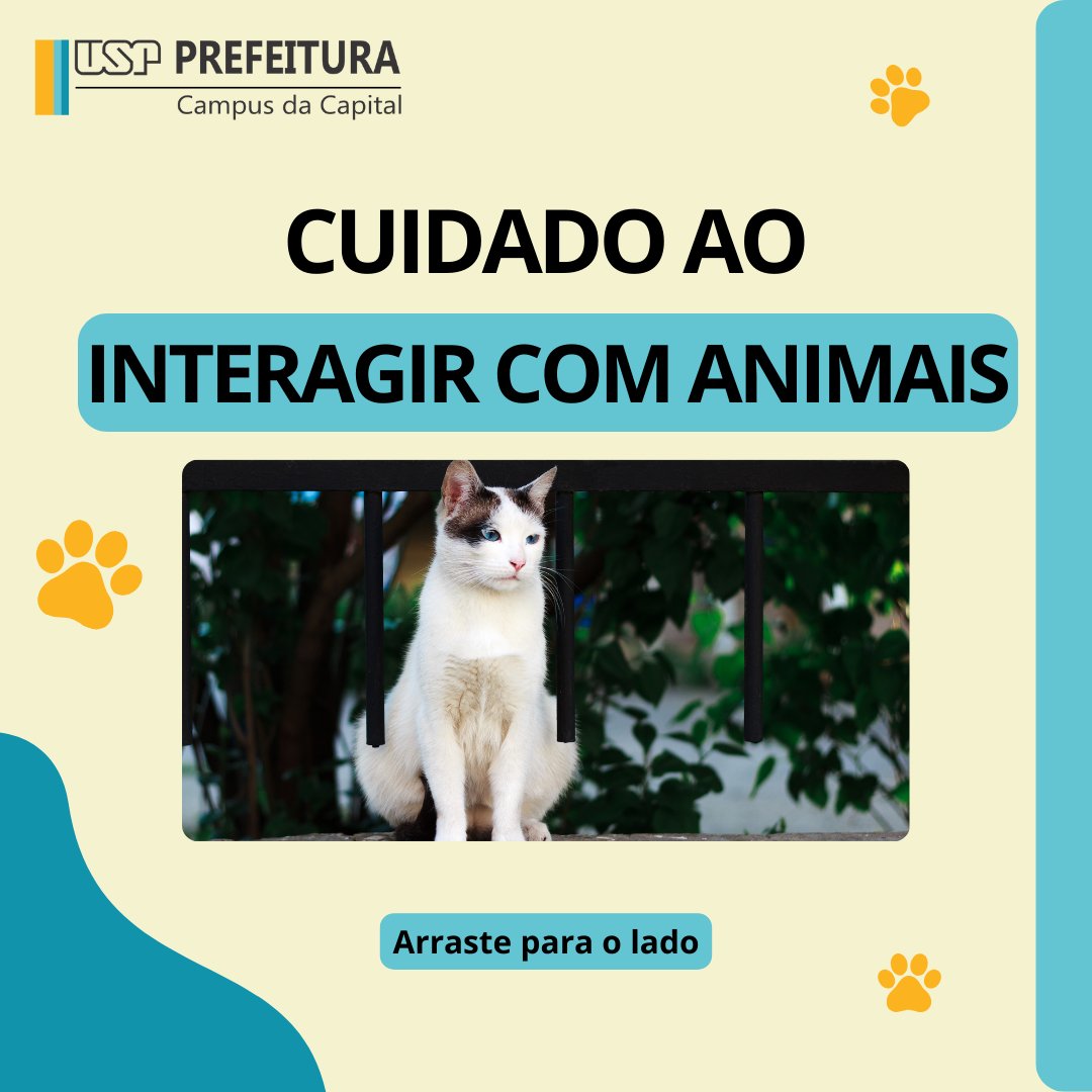 puspcapital's tweet photo. Lei Federal 9.605/98
Fique atento e denuncie abandono de animais tanto no Campus quanto em qualquer outro lugar do Brasil! Link para denúncia: https://t.co/N0ce8MOQjw
#puspc #usp #campusbutanta #petsnocampus #abadonodeanimais #campanha https://t.co/kTo4FDbQyr