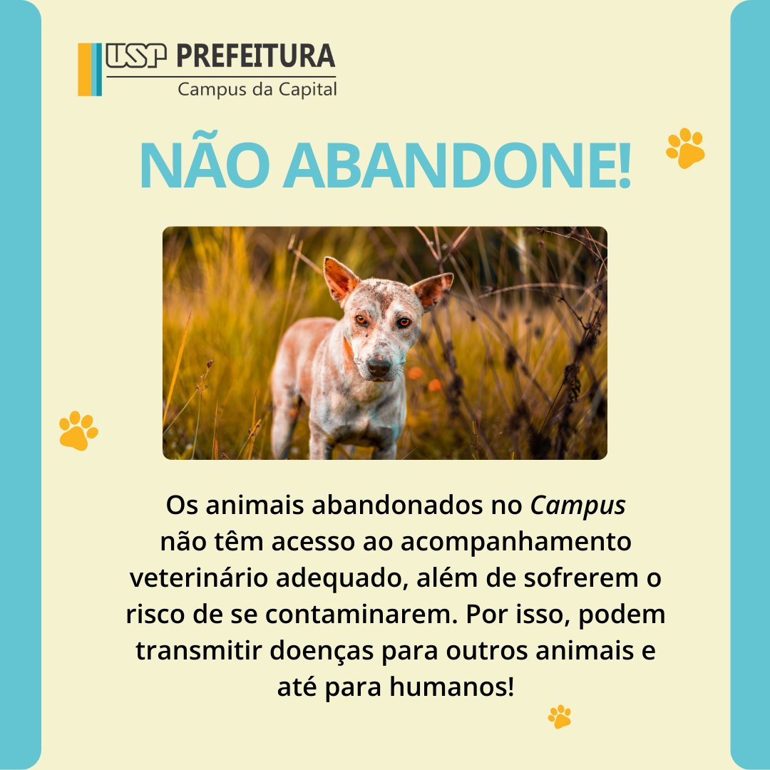 puspcapital's tweet photo. Lei Federal 9.605/98
Fique atento e denuncie abandono de animais tanto no Campus quanto em qualquer outro lugar do Brasil! Link para denúncia: https://t.co/N0ce8MOQjw
#puspc #usp #campusbutanta #petsnocampus #abadonodeanimais #campanha https://t.co/kTo4FDbQyr