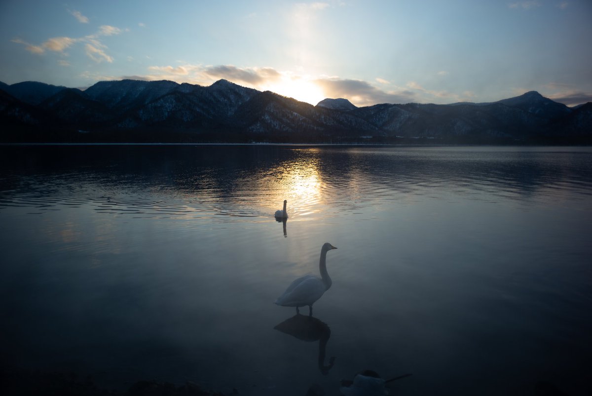 grm811's tweet photo. でっかいどう、らぶ……
#leica #typ240 #elmarit28 #e48 #photography #タウシュベツ川橋梁 #阿寒湖 #野付半島 #別海氷平線 https://t.co/5ihGm3NODG