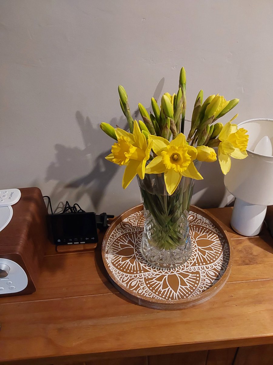 geoffbates1's tweet photo. @sophiearumble You're not wrong, 2 quid for these beauties https://t.co/PPJtzERBQa