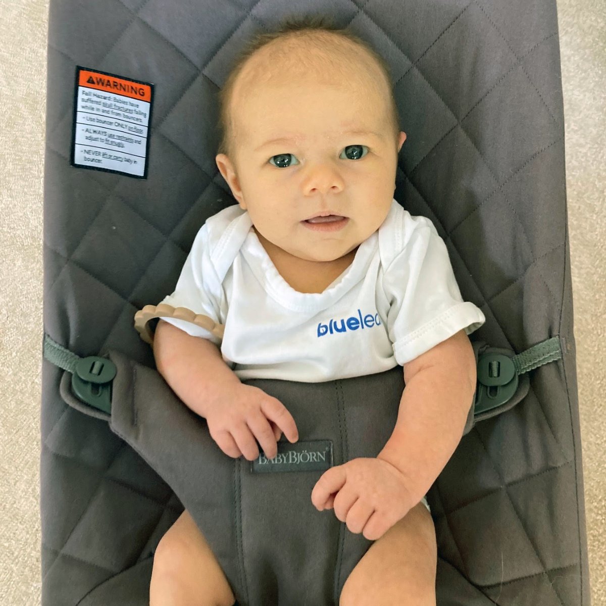 Blueleaf Advisor tweet media