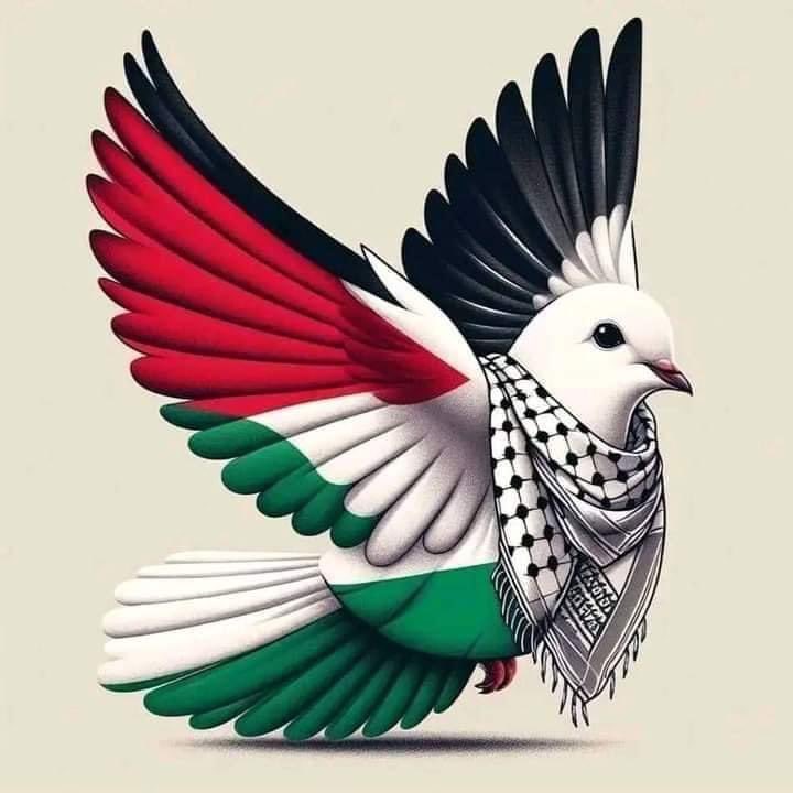 Don’t stop talking about #Filistin #Gazze #Gaza
#غزة
#FilistiniUnutma
#mescidiaksa
#AlAksa
#FreePalestina
#FreePalestine
#PalestinaLibre 
#Gaza_Genocide 
#freegaza #gazaholocaust
#ContinueTheBoycott 
#boykotadevam
#palästina 
#EndIsraelsGenocide 
 #OpenRafahBorder