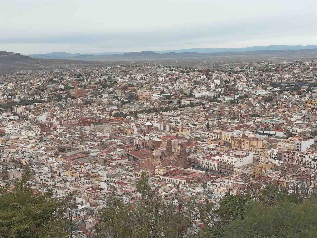 Televisa Zacatecas tweet media