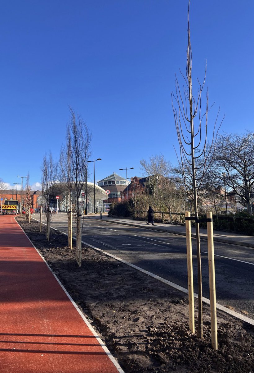 Oldham Town Centre is getting a green makeover with 82 new trees planted 🙌

🌿 Our commitment to Accessible Oldham includes 46 trees for West Street and 36 for Albion Street and Henshaw Street. Here's to a greener, more vibrant town centre!

 #OldhamCouncil #LoveOldham 💚