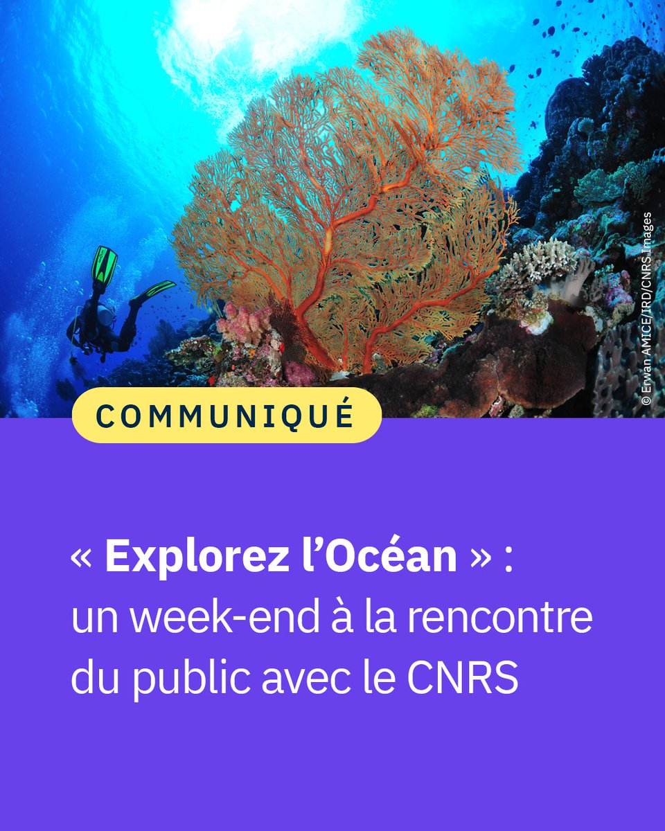 #Communiqué 🗞️Les samedi 17 et dimanche 18 février, le @CNRS s’invite au musée des @ArtsetMetiers à Paris avec les #ÉchappéesInattendues pour un week-end dédié à l’océan, ses secrets et ses défis. 
🎟️Entrée gratuite sur inscription. 

👉cnrs.fr/fr/presse/expl…

#CNRSocean 🌊