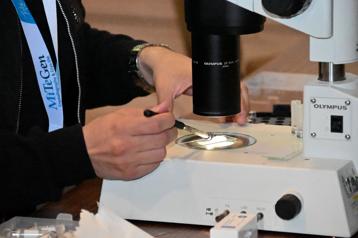 crystallographers.hr tweet media