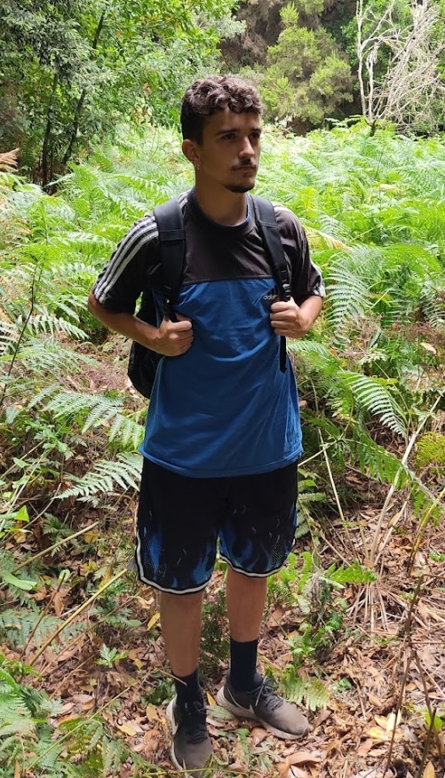 Withor12 tweet media