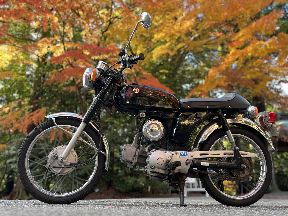 toshimaru_yb's tweet photo. この子を大学卒業のタイミングで降りて実家に戻すことにします。
弟に欲しいと言われたのと、就職しても乗る機会があれば30キロ制限じゃないバイクを自分で買おうと思ったので。笑
石川でいっぱい思い出作れたし、この子をきっかけに出会えた方もいるので感謝してます🏍️
後数ヶ月よろしくの前に卒論… https://t.co/9aAHJmqzst