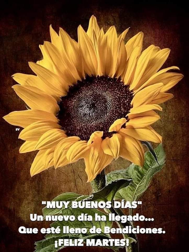 Buenos días!!