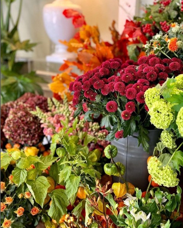 Windsor Yards tweet media