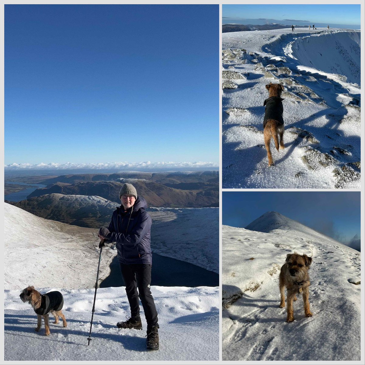 Just one of those lucky days to be out on the high fells with @BorderSeth on our #wainwright quest #snow #cumbria #lakedistrict #helvellyn 🐾🐾🥶☀️