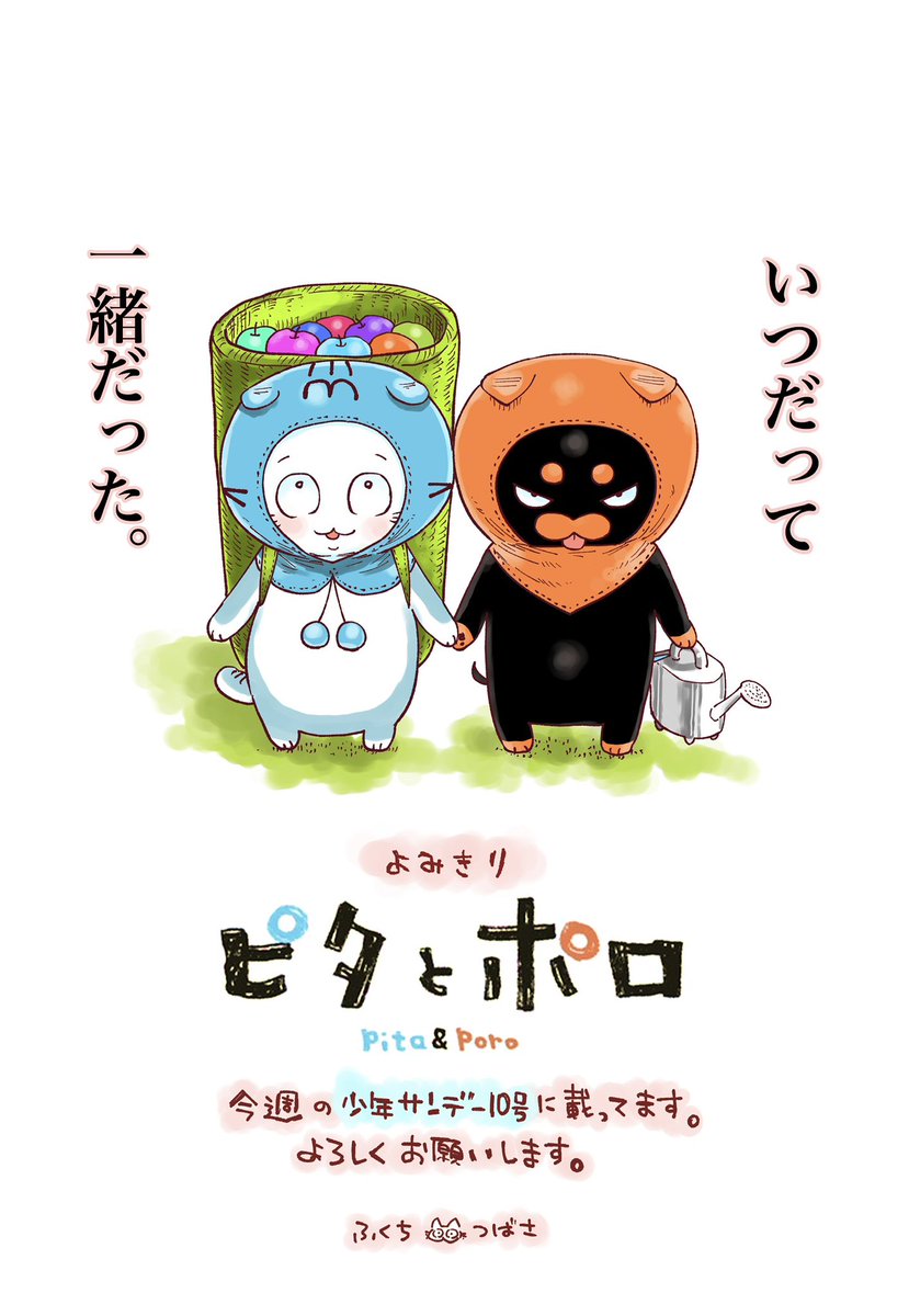 本日発売のサンデーに読切が載ります。よかったら読んでみてください!
#少年サンデー 
#ピタとポロ 