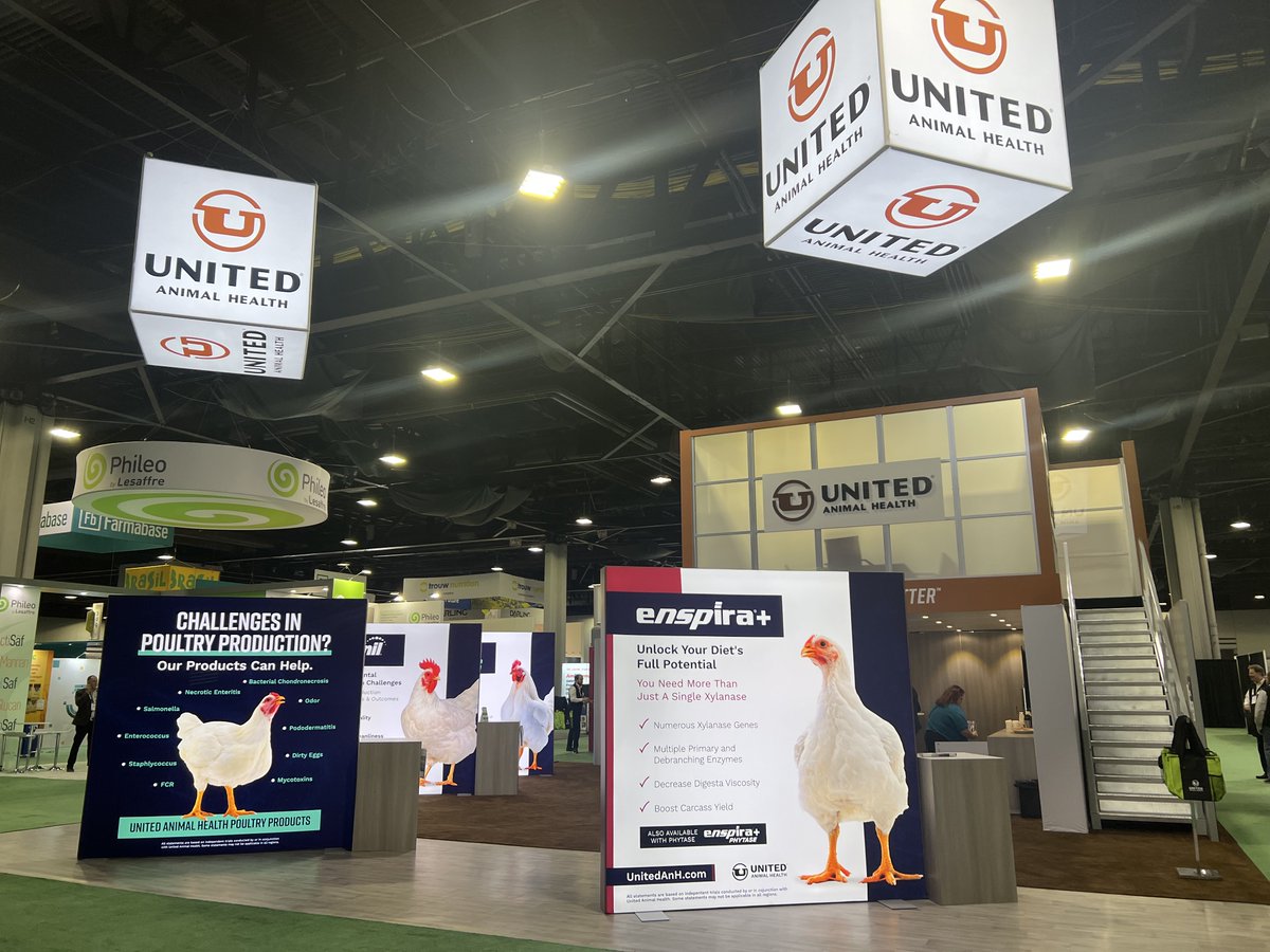 unitedanh's tweet image. We are in Atlanta, Georgia for IPPE 2024! Stop by booth A1003 to learn more about our poultry solutions.

#IPPE2024 #ippe #poultrysolutions #poultryindustry #unitedanh #unitedanimalhealth