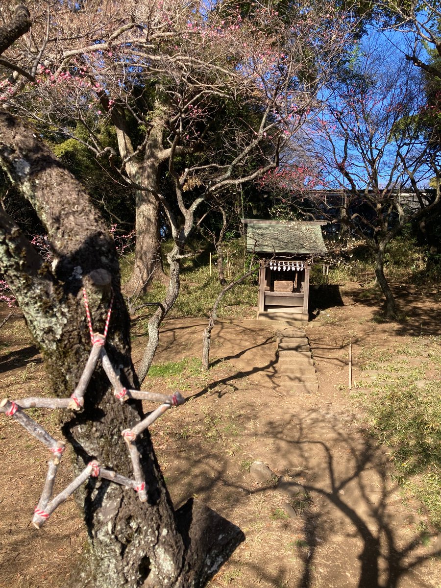 paulaannev's tweet photo. I went bottle-hunting in the woods near this shrine after work and found some nice things. See next post. Hope all are well. xxx #Shrine #PlumTrees #BottleHunting https://t.co/t4z6PksNSd
