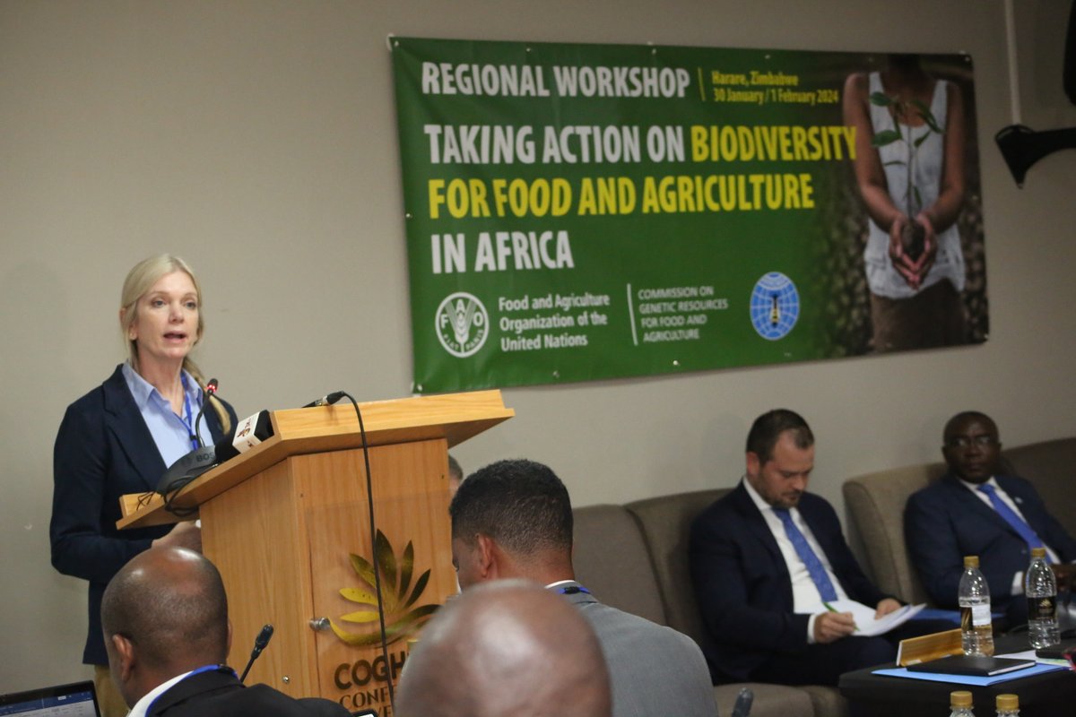 faosfsafrica's tweet photo. #FAOinAction
Over the next three days, experts from over 20 African countries will explore ways in which African countries can protect #biodiversity and ensure its continued presence in our food and agriculture systems. https://t.co/3LB6lGutoG