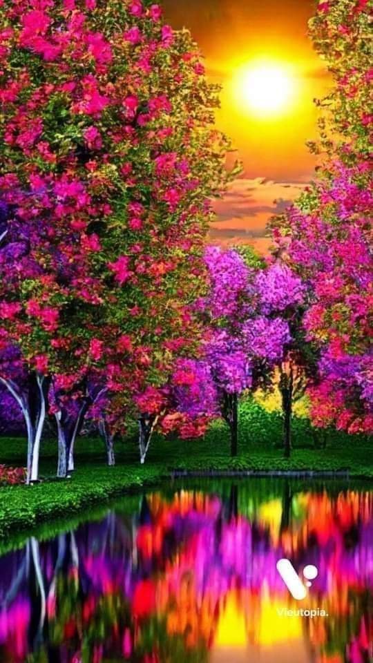 AnsarArooma's tweet photo. A pretty picture 🌹🌿🌷🌿🥀🌿🌺🌿🪻🌿🪷🌿🌻🌿🏵️ https://t.co/WeLzwIJ7Ry