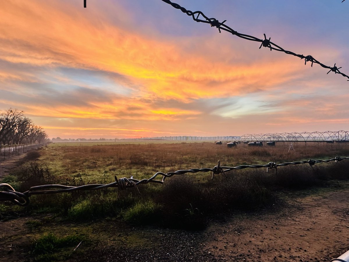 𝘿𝙧. 𝘾𝙧𝙮𝙨𝙩𝙖𝙡 𝙍𝙤𝙜𝙚𝙧𝙨 ≽(◕ ᴗ ◕)≼ 🐥🐸 tweet media