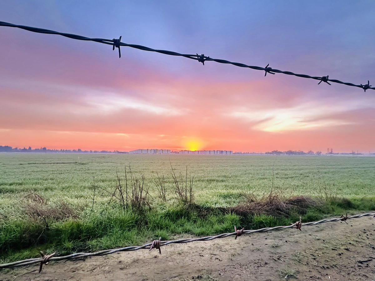 𝘿𝙧. 𝘾𝙧𝙮𝙨𝙩𝙖𝙡 𝙍𝙤𝙜𝙚𝙧𝙨 ≽(◕ ᴗ ◕)≼ 🐥🐸 tweet media