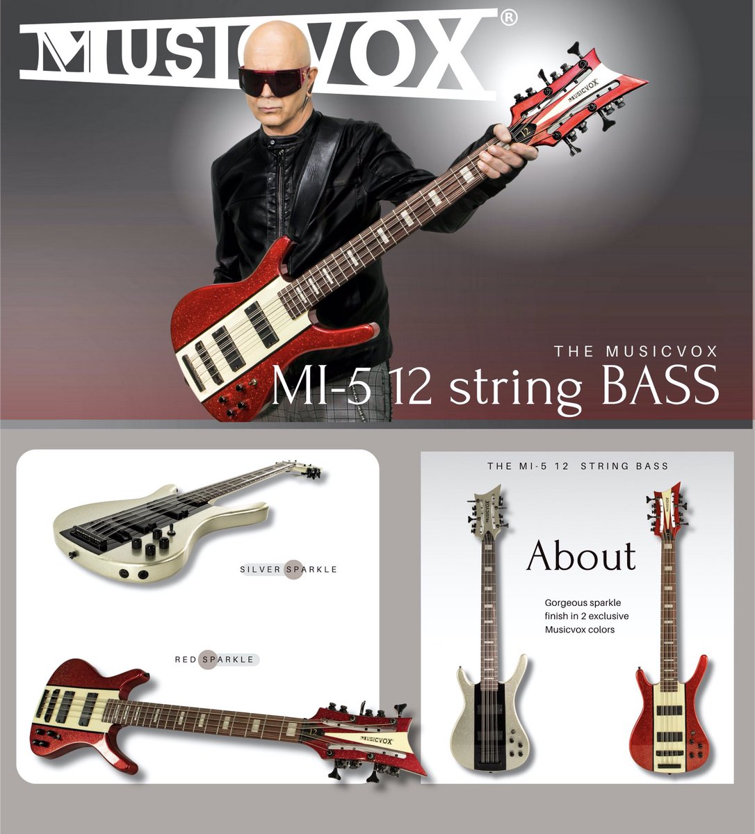 Musicvox (@musicvoxguitars) on Twitter photo 