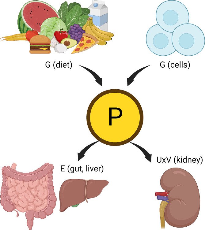 ZHeart11768530's tweet photo. Screening, identifying, and treating chronic kidney disease: why, who, when, how, and what? #2024Review #OpenAccess 

https://t.co/q9Sd1xK7vj
#Cardiotwitter #cardiology #CardioEd #meded #nephrology #nephrologist #nephropearl https://t.co/KR9DQlvVtA