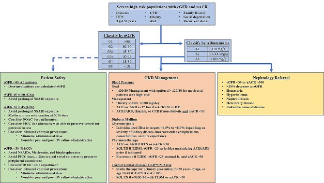 ZHeart11768530's tweet photo. Screening, identifying, and treating chronic kidney disease: why, who, when, how, and what? #2024Review #OpenAccess 

https://t.co/q9Sd1xK7vj
#Cardiotwitter #cardiology #CardioEd #meded #nephrology #nephrologist #nephropearl https://t.co/KR9DQlvVtA