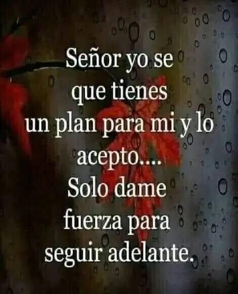 SOYCRISTIANOEVA's tweet photo. https://t.co/7zH9pcISir