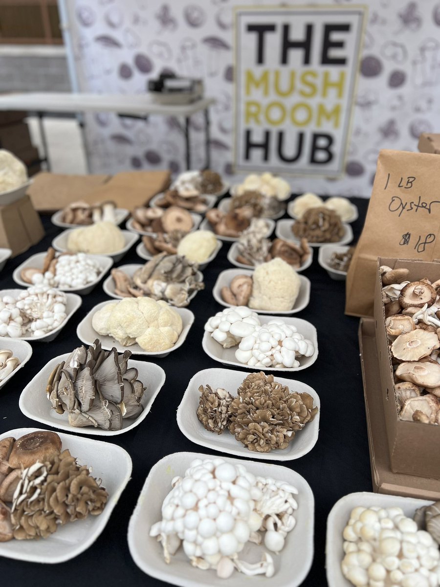 <a href="/TheMushroomHub/">The Mushroom Hub</a>