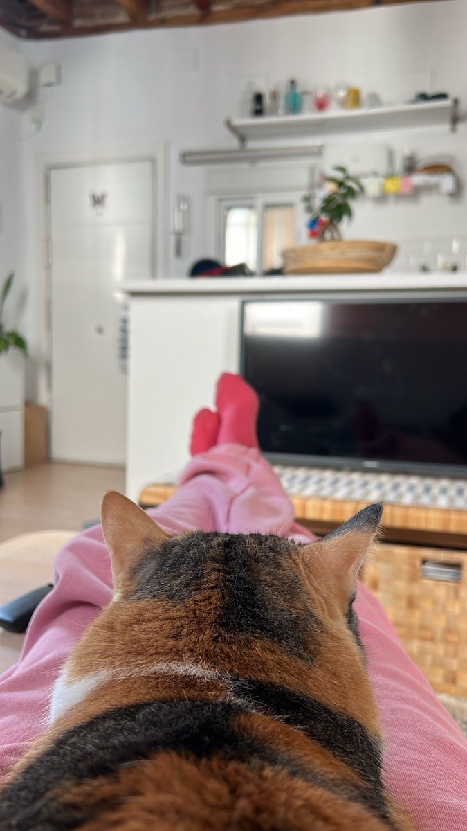 te gustaría ser el gatito?