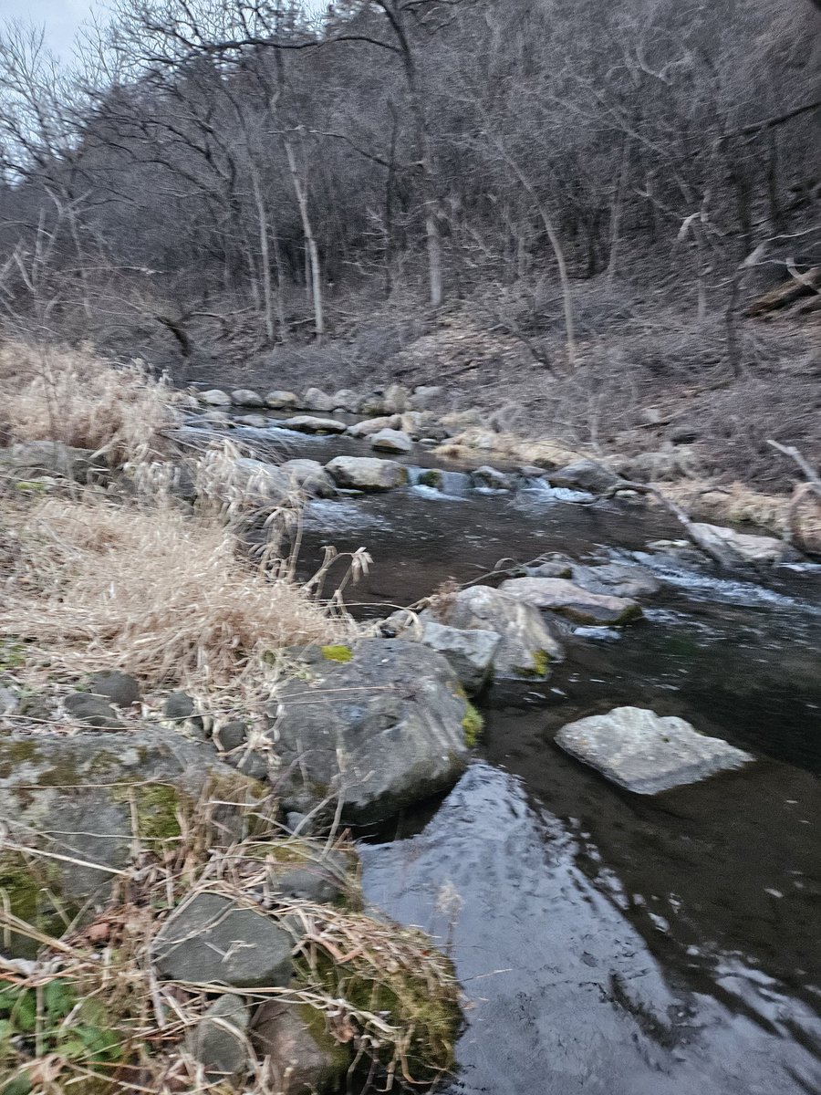 SAMOD2222's tweet photo. Dark o'clock run, and I hit the ditch when headlights approach. #safetyFirst And then I have to stop and take in the scenery. It's no wonder 6 miles took so long ๐๐ #running #goodmorning #troutbrook https://t.co/nWZXpeM2F5