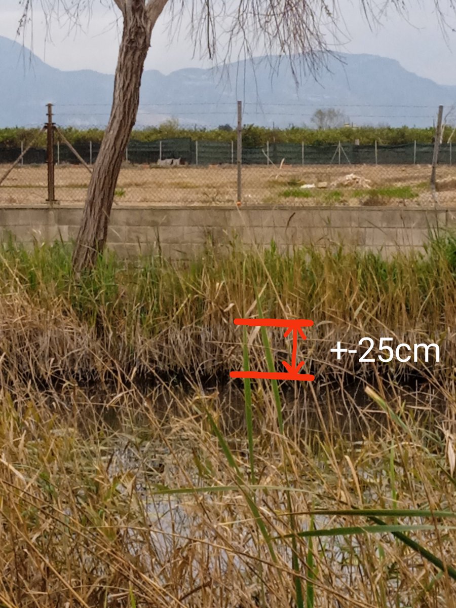 Matiesllm's tweet photo. Ara que han buidat les bases s'ha fet evident com ha baixat el nivell dels ullals respecte a tot l'any passat, inclòs l'estiu! 
Prop de 25 cm a la Mula, més de 10 a Senillera B!
Senillera A es manté...🤔 https://t.co/6yVzz8ZDpo