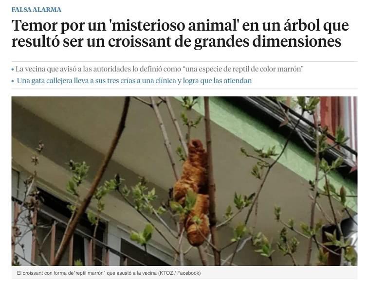 etfelicitofill's tweet photo. #DiaInternacionalDelCroissant 🥐 https://t.co/m3EUh31RP0