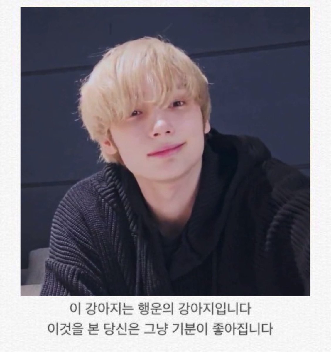 콩덕이 . . (@walnuthue) on Twitter photo 