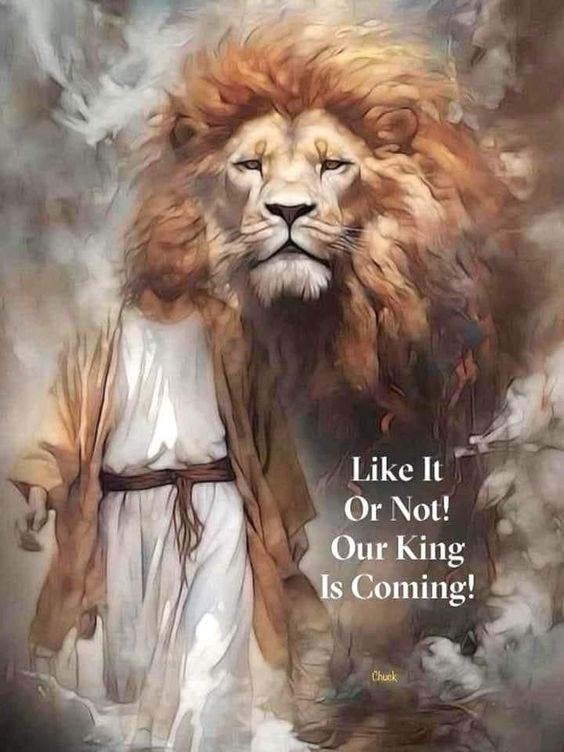 BeachcatTt's tweet image. He is coming! Are you ready?