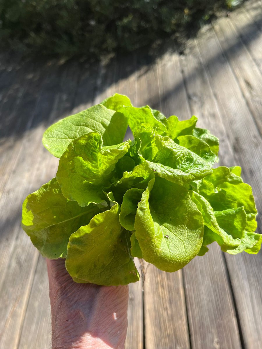 Carlos de Hita tweet media