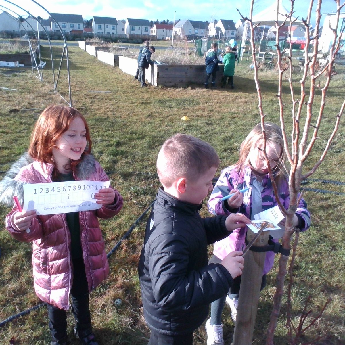 Letham Mains Primary School tweet media