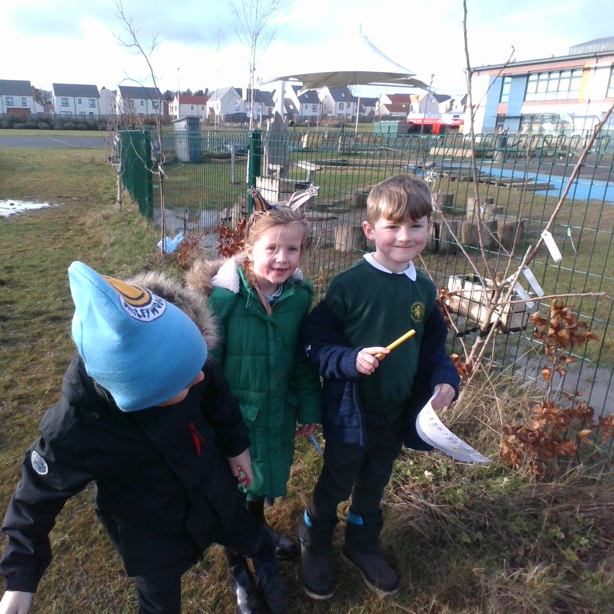 Letham Mains Primary School tweet media