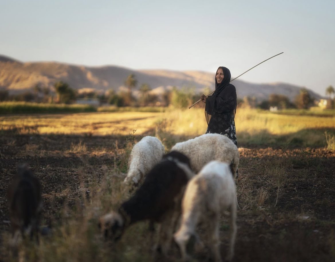 graveyardguts_'s tweet photo. btw!!: 

it’s also Motaz’s birthday today!🤍 he’s turning 25. 

in a video on his instagram he says he wishes the world knew him for his art and not the genocide, but to keep talking about Palestine. his photography is really beautiful, I suggest you all check it out 🍉🇵🇸 https://t.co/yIB81CFZIu