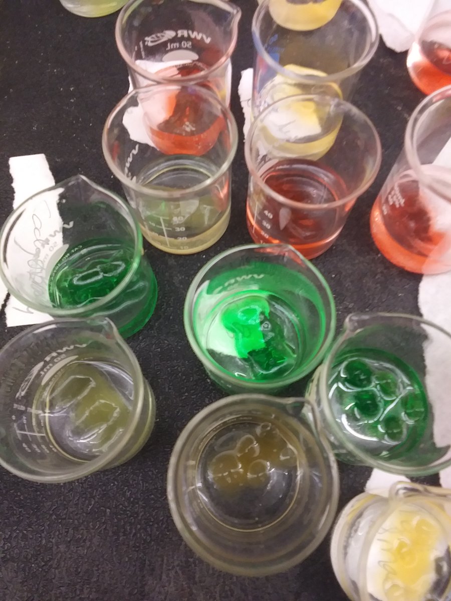 JKWLifeScience's tweet photo. Osmosis using gummy bears is always a fun treat!  Math, graphing and deduction skills are utilized in this simple activity.🧸 https://t.co/tc1lbfdLeh