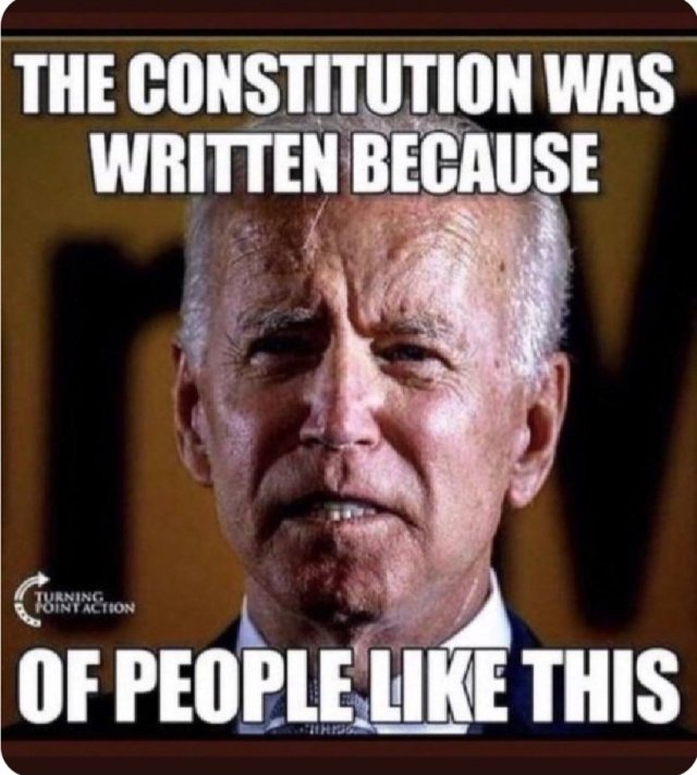 RickyDoggin's tweet photo. Liberals Hate The Constitution https://t.co/8ey7JsegAh