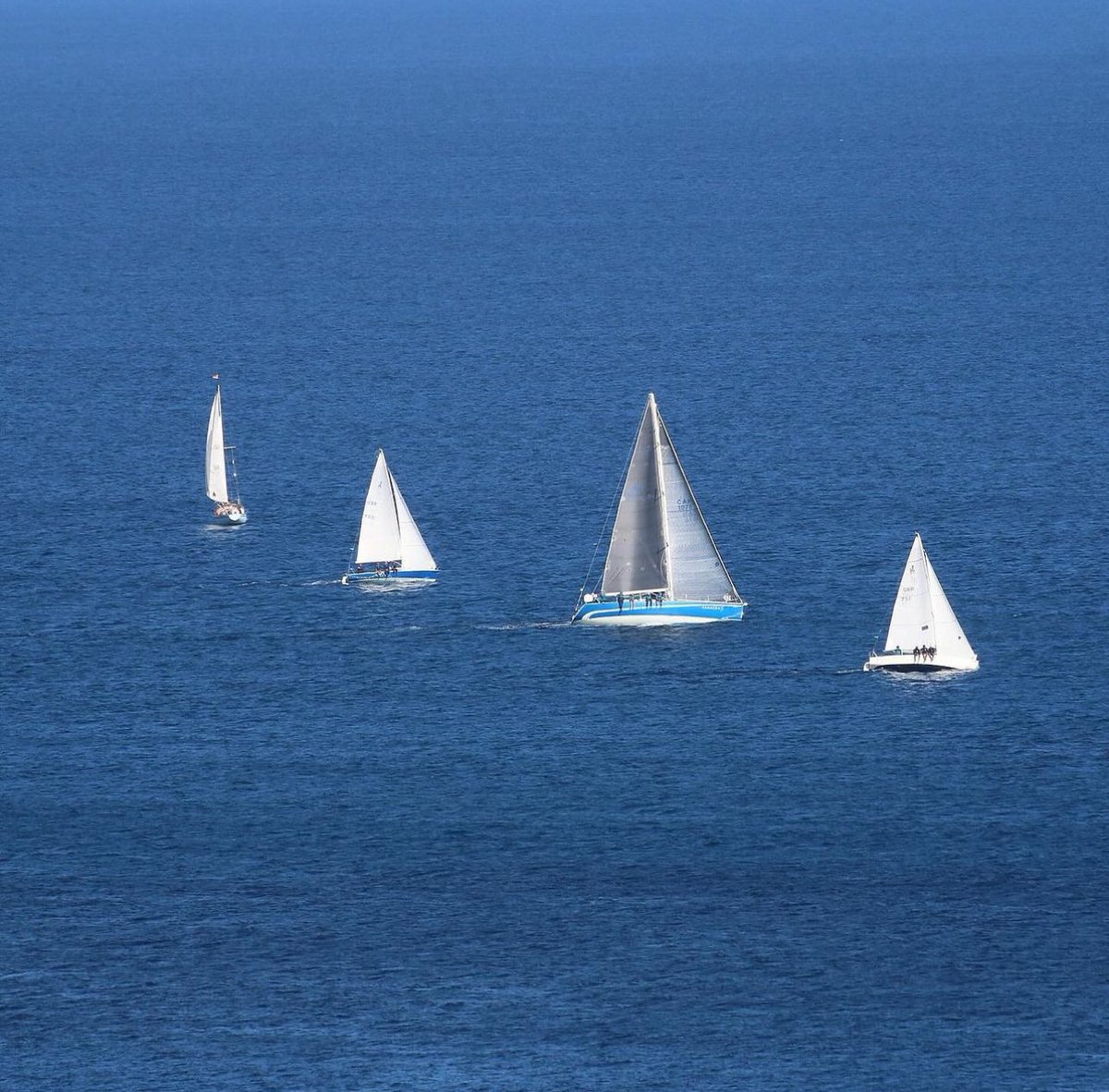 puregrenada's tweet photo. Grenada Sailing Week officially kicked off on the 28th of January, and we’re excited to see how it unfolds⛵️
There’s an amazing week of events ahead so stay tuned!
📸: @bunny.hatgis (IG)
#puregrenada #grenada #sailingweek https://t.co/I8iRfzXeTb
